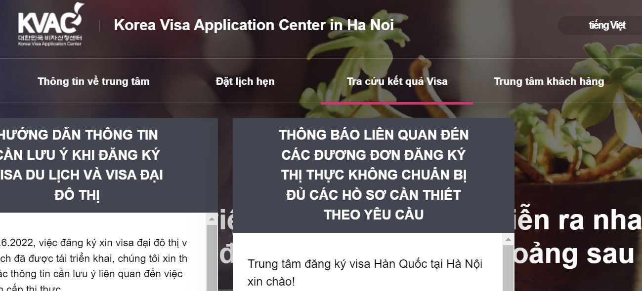 kiểm tra visa hàn quốc