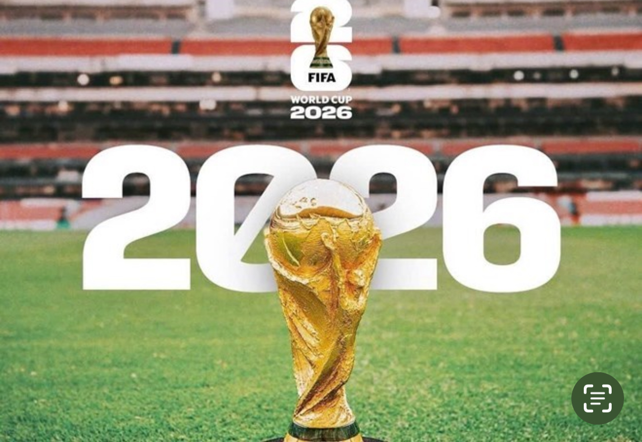 Visa my fifa world cup 226
